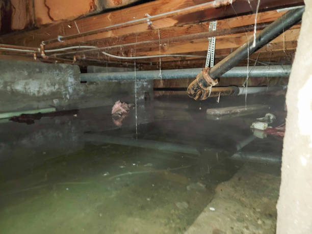 Sewage cleanup and water damage restoration in Dover Beaches South, NJ