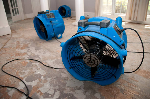 Best Flooded house restoration  in Dover Beaches South, NJ